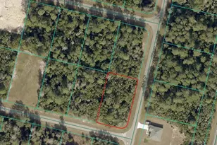 3301 SW 158th Loop, Ocala, FL 34473 - Photo 1