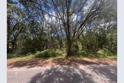 56 Fisher Lane Court, Ocklawaha, FL 32179 - Photo 1