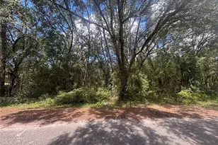 56 Fisher Ln Ct, Ocklawaha, FL 32179 - Photo 1