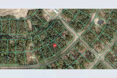 56 Fisher Lane Court, Ocklawaha, FL 32179 - Photo 2