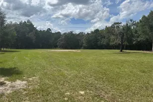 3020 SW 189th Ave, Dunnellon, FL 34432 - Photo 8