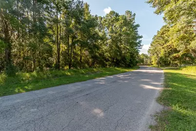 Tbd NW 88th Avenue Rd, Reddick, FL 32686 - Photo 6