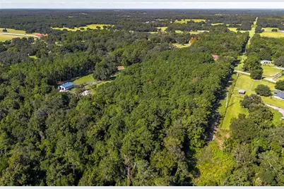 Tbd NW 88th Avenue Rd, Reddick, FL 32686 - Photo 10