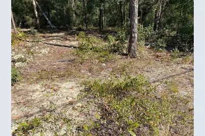 Tbd Lakeland Heights Avenue, Dunnellon, FL 34431 - Photo 4