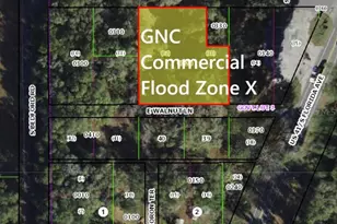 7873 S Choron Terrace, Floral City, FL 34436 - Photo 1