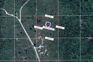 Tbd County Rd, Oak Hill, FL 32759 - Photo 1