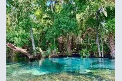 2185 W Say Drive, Citrus Springs, FL 34434 - Photo 8