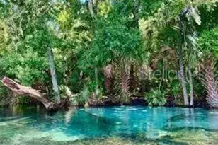 2185 W Say Dr, Citrus Springs, FL 34434 - Photo 8