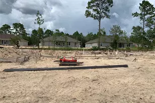 2173 W Say Dr, Citrus Springs, FL 34434 - Photo 4