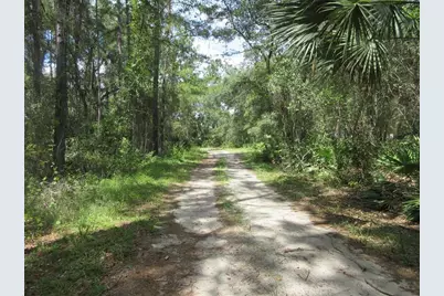 13820 NE 46th Street, Silver Springs, FL 34488 - Photo 8