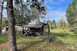 591 SE Fisher Rd, Ocklawaha, FL 32179 - Photo 16