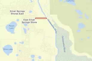 591 SE Fisher Rd, Ocklawaha, FL 32179 - Photo 2