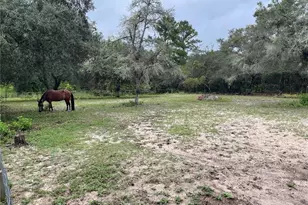 591 SE Fisher Rd, Ocklawaha, FL 32179 - Photo 20
