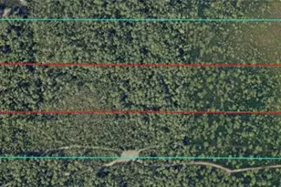 591 SE Fisher Rd, Ocklawaha, FL 32179 - Photo 24