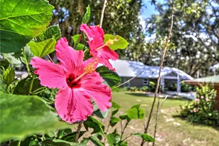 14271 NE 47th Ave, Anthony, FL 32617 - Photo 56