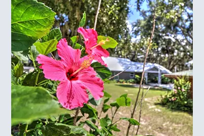 14271 NE 47th Avenue, Anthony, FL 32617 - Photo 64