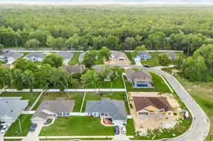 4099 NE 58th Cir, Silver Springs, FL 34488 - Photo 60