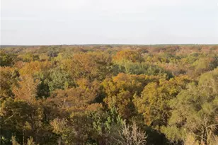 Tbd SE 19th St, Silver Springs, FL 34488 - Photo 32