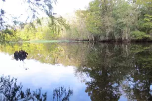 Tbd SE 19th St, Silver Springs, FL 34488 - Photo 42