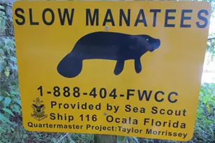 Tbd SE 19th St, Silver Springs, FL 34488 - Photo 24