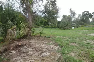 Tbd SE 19th St, Silver Springs, FL 34488 - Photo 6