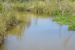 Tbd SE 19th St, Silver Springs, FL 34488 - Photo 22