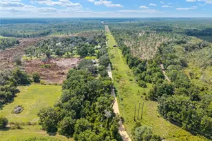 453 Old Hawthorne Rd, Hawthorne, FL 32640 - Photo 66