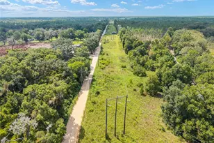 453 Old Hawthorne Rd, Hawthorne, FL 32640 - Photo 74