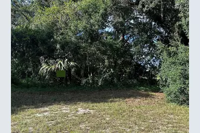 722 Highway 40 W, Inglis, FL 34449 - Photo 4