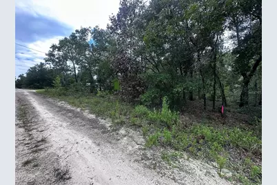 155th Terrace NE, Williston, FL 32696 - Photo 4