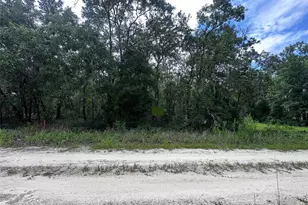 155th Terrace NE, Williston, FL 32696 - Photo 1