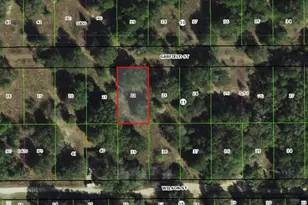 2303 Garfield St, Inverness, FL 34453 - Photo 1