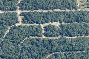 1577 E Ivydale Dr, Citrus Springs, FL 34434 - Photo 1