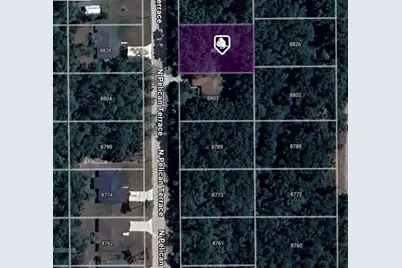 8827 N Pelican Terrace, Dunnellon, FL 34434 - Photo 10