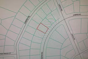 0 Juniper Rd, Ocala, FL 34480 - Photo 1