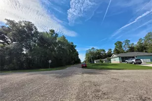 8839 N Pelican Terrace, Dunnellon, FL 34434 - Photo 1