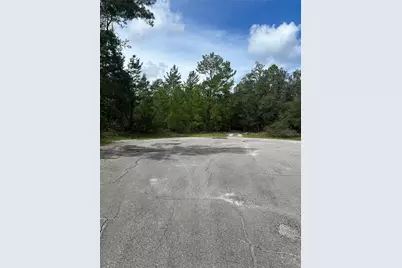 Sw 179th Place, Ocala, FL 34473 - Photo 2