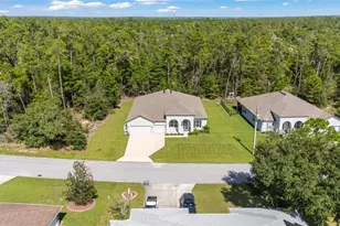 69 Grass St, Homosassa, FL 34446 - Photo 58