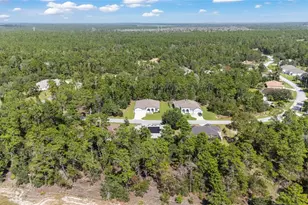 69 Grass St, Homosassa, FL 34446 - Photo 64