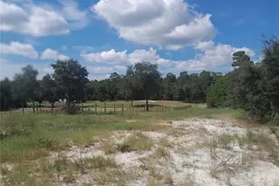 3731 SE 117th Terrace, Morriston, FL 32668 - Photo 38