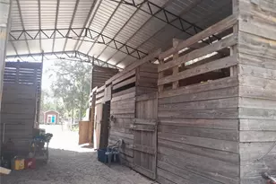 3731 SE 117th Terrace, Morriston, FL 32668 - Photo 46