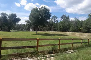 3731 SE 117th Terrace, Morriston, FL 32668 - Photo 42