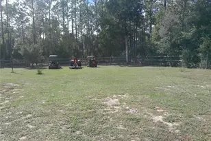 3731 SE 117th Terrace, Morriston, FL 32668 - Photo 8