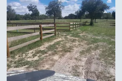 3731 SE 117th Terrace, Morriston, FL 32668 - Photo 32