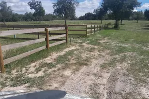 3731 SE 117th Terrace, Morriston, FL 32668 - Photo 32