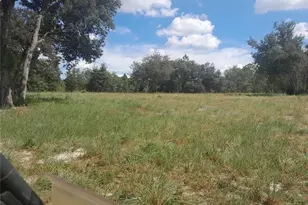 3731 SE 117th Terrace, Morriston, FL 32668 - Photo 36