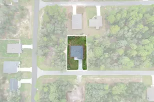 225 W Diego Pl, Citrus Springs, FL 34434 - Photo 2