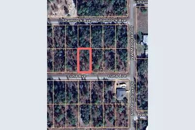 0 Luna Avenue #21, Dunnellon, FL 34431 - Photo 2