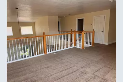 4736 Swordfish Way, Palm Harbor, FL 34684 - Photo 20