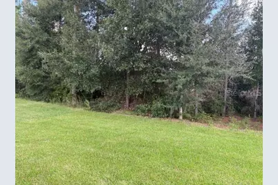 7673 SW 180th Circle, Dunnellon, FL 34432 - Photo 10